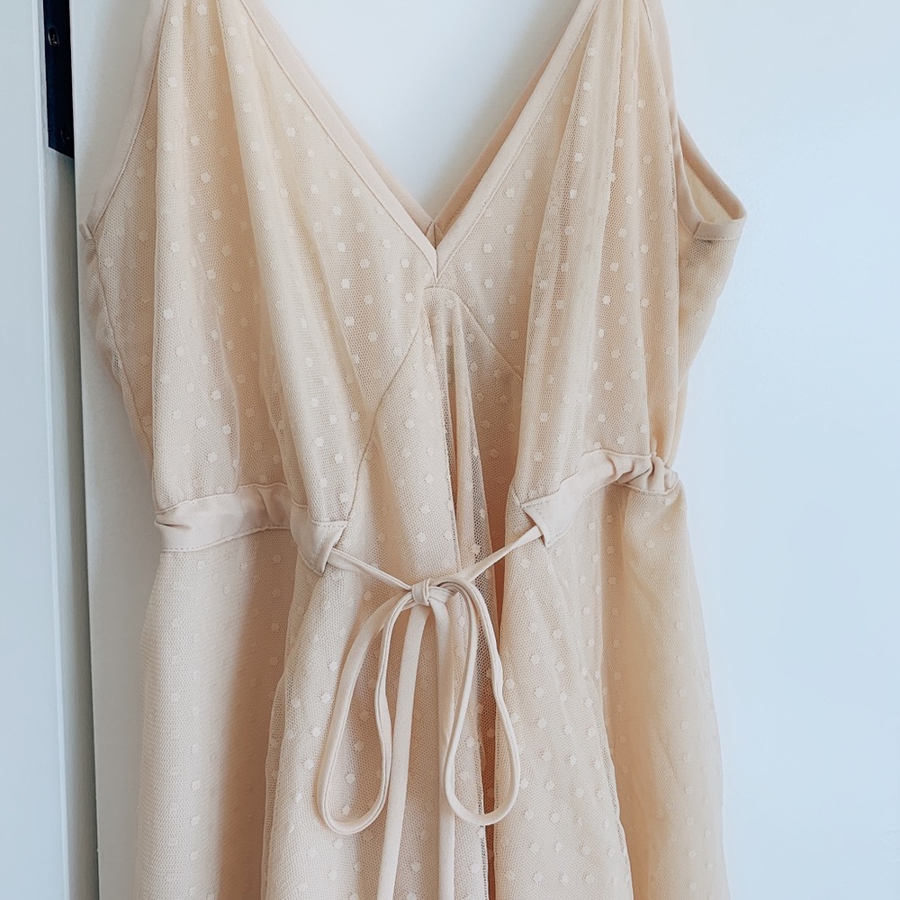 Riller & Fount Tulle Polka dot Dress